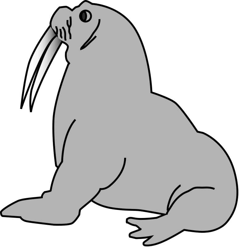 Walrus free to use clipart 2