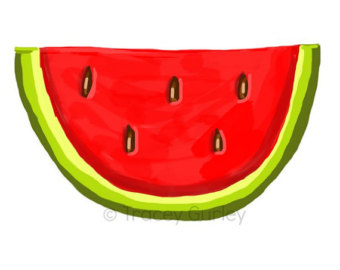 Watermelon clip art 8