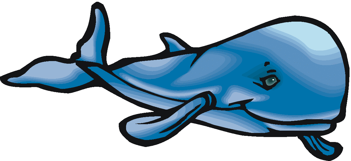 Whale clipart and illustration 2 whale clip art vector image 5