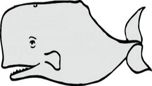 Whale clipart free images 2