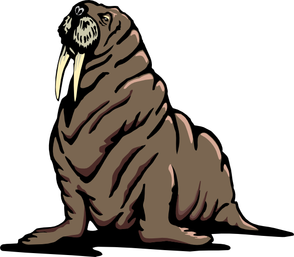Wrinkled walrus clip art at clker vector