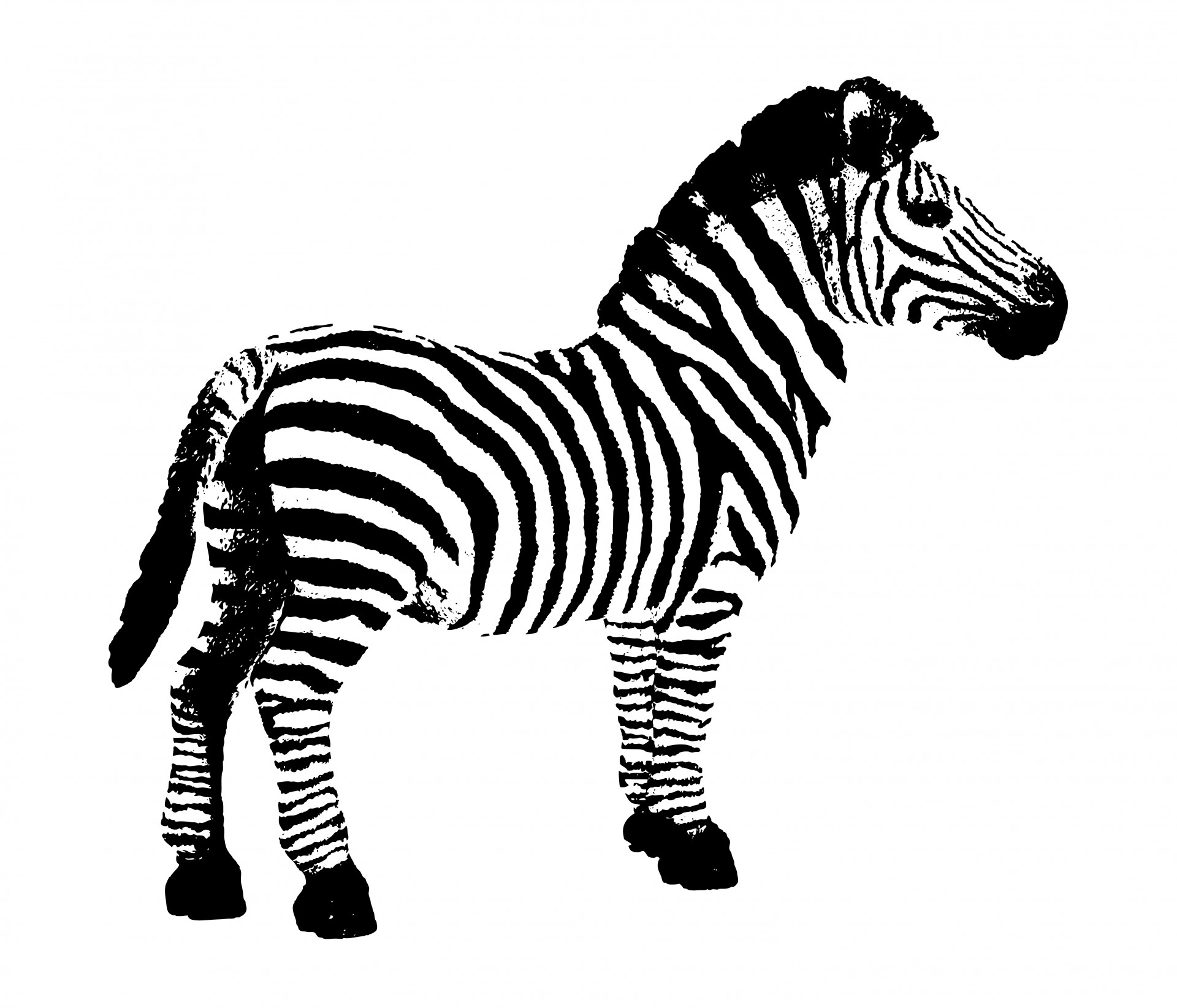 Zebra clipart free pictures