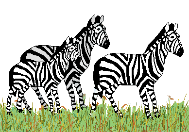Zebra clipart zebraclipart zebra animals clip art 2 2
