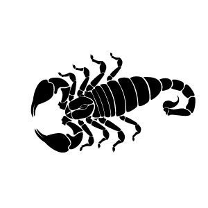 0 images about scorpion clip art on scorpion clip