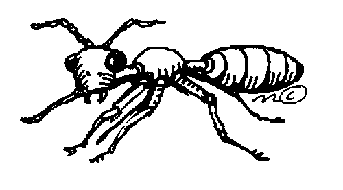 Ant clip art free clipart 3