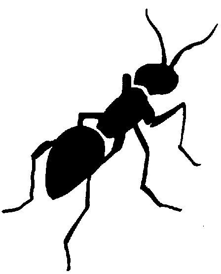 Ant clipart black and white free images