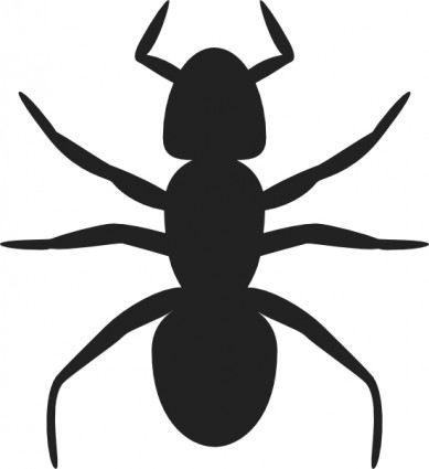 Ant clipart images
