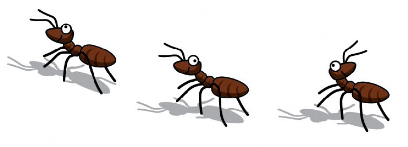 Ants clipart