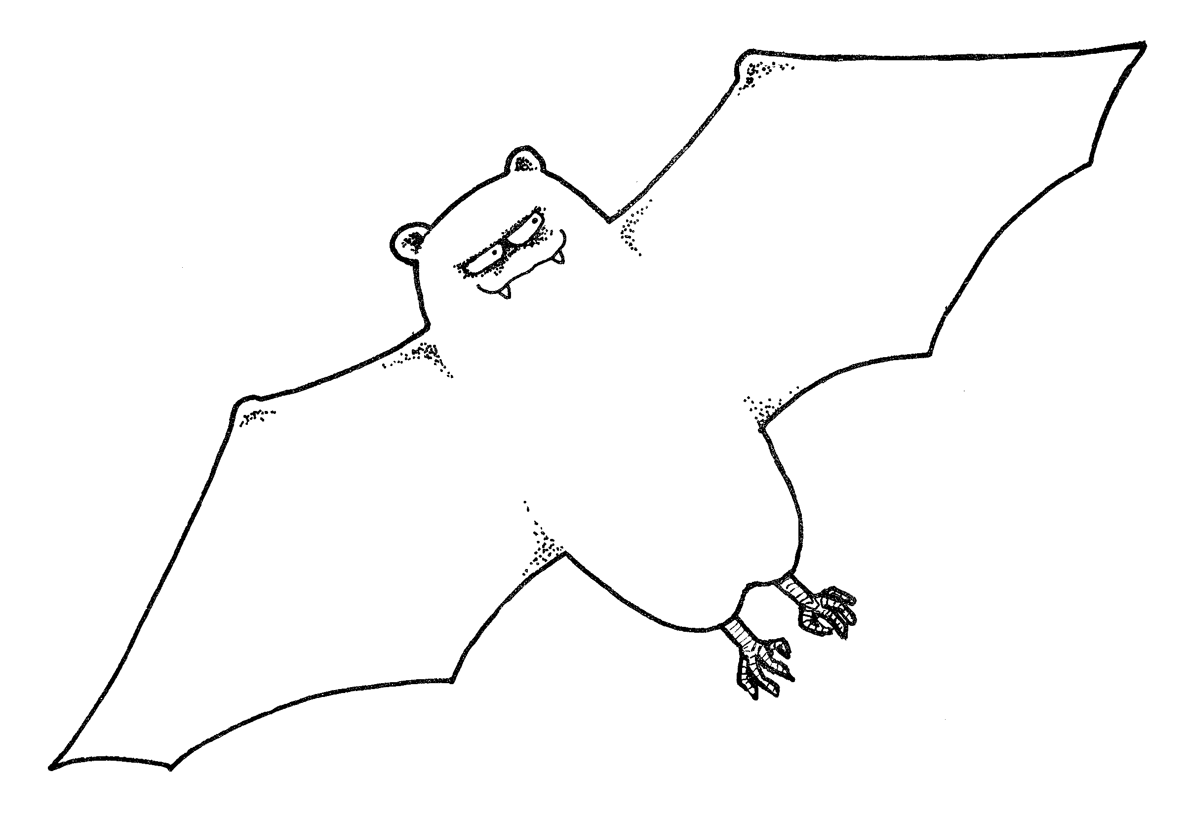 Bat  black and white bat in black and white clipart