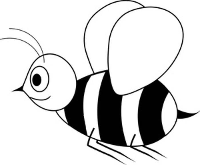 Bee  black and white white bees clipart 2