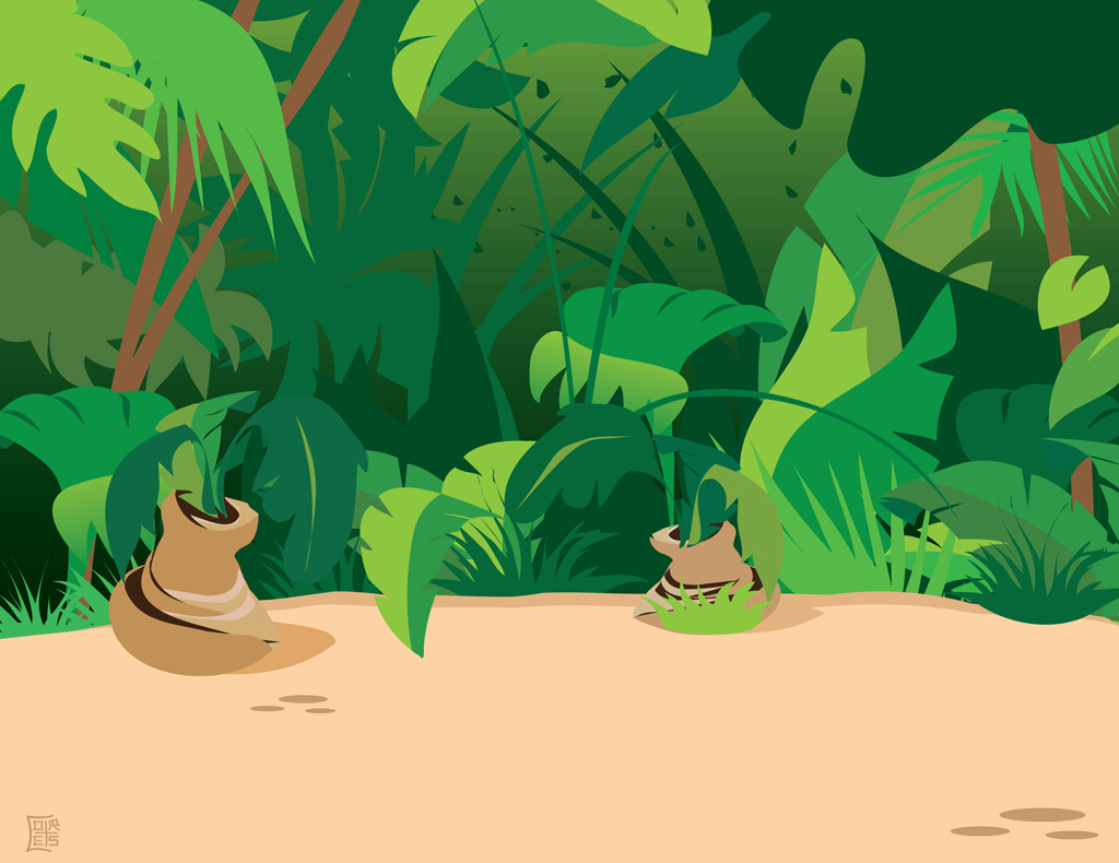 Cartoon rainforest clipart