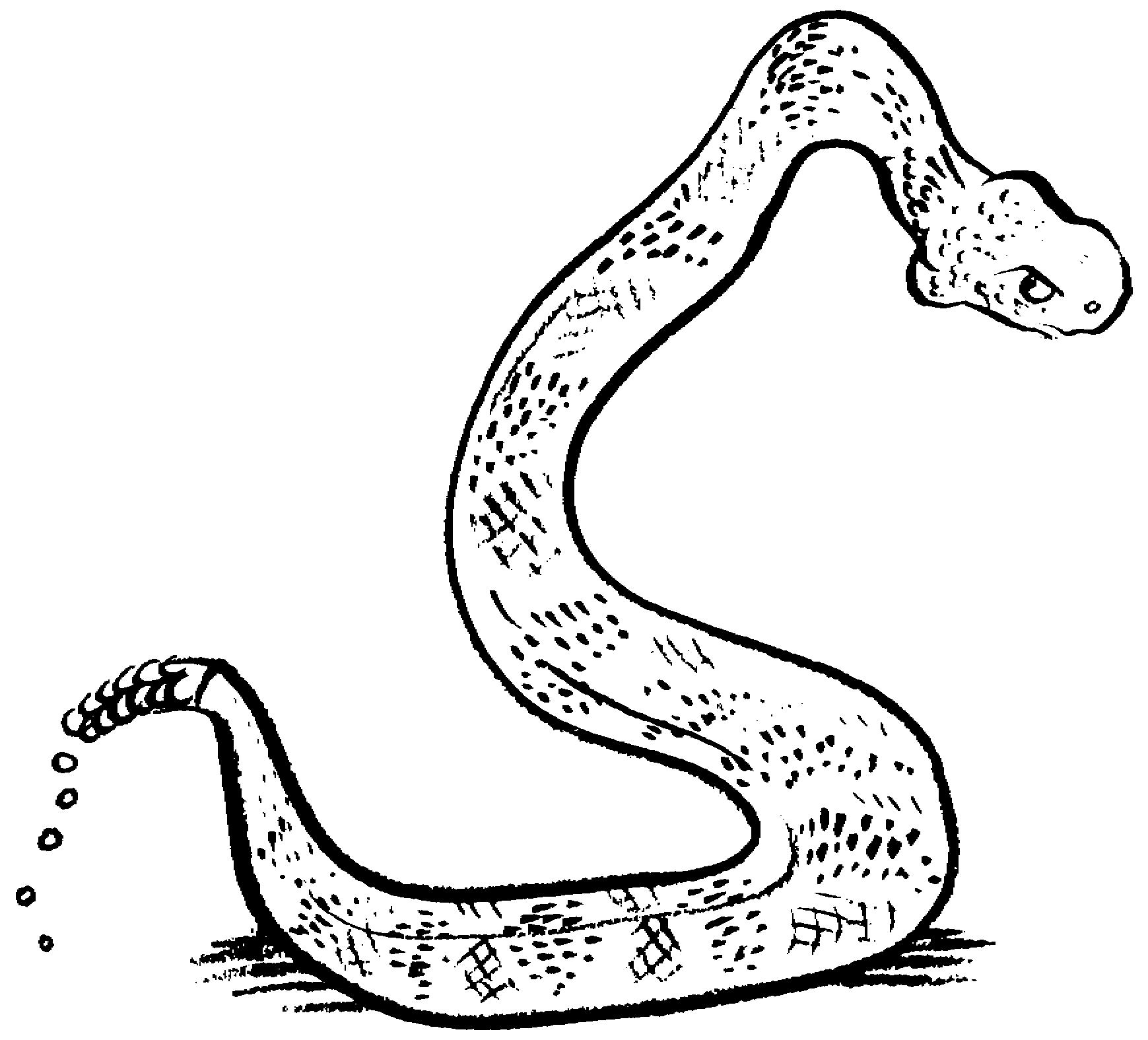 Cartoon snakes clip art page 2 snake images clipart free 4 2