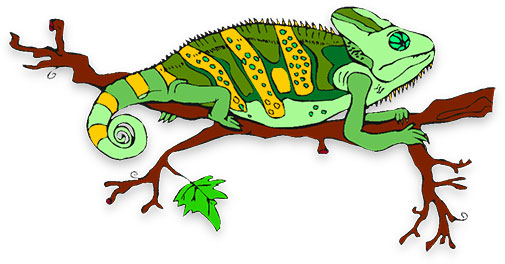 Chameleon free animated animals bird s lizard clipart