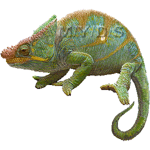 Chameleon parson clip art