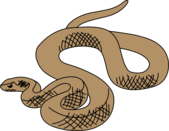 Chinese snake clip art - WikiClipArt