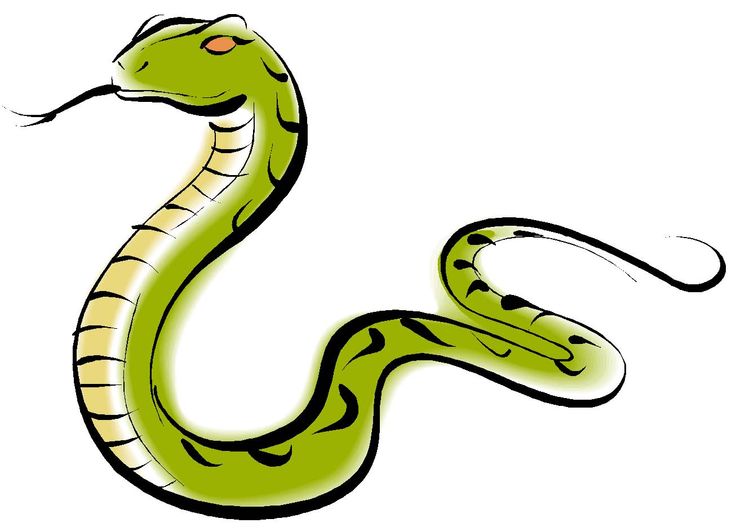 Clip art snakes and art on