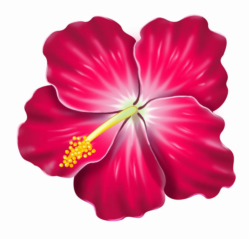 Free clipart hibiscus tattoo and hawaiian flowers on