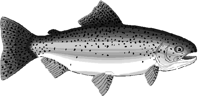 Free salmon clipart clip art image 1 of 3