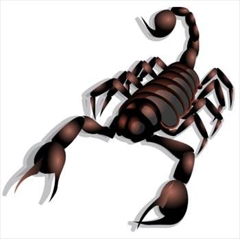 Free scorpions clipart graphics images and photos