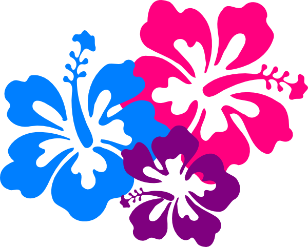 Hawaiian flower clip art borders free clipart images