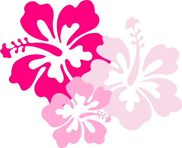 Hawaiian flower clip art flower bright hawaiian clipart 7