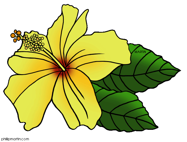 Hawaiian flower hawaiian clip art free