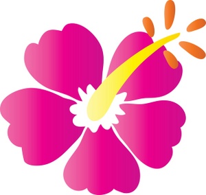 Hawaiian flower hibiscus clipart image flower