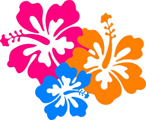 Hawaiian flower luau clip art borders free clipart images