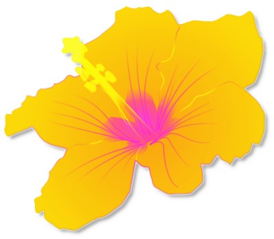 Hawaiian flower tropical free hawaiian clip art flower luau 5