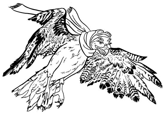 Hawk clipart image 3