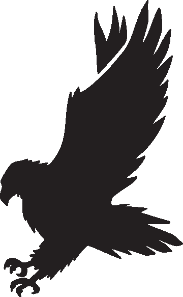 Hawk mascot clipart free images 2