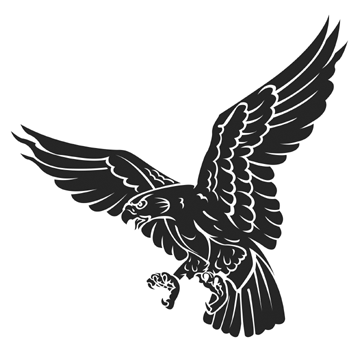 Hawk mascot clipart free images 3