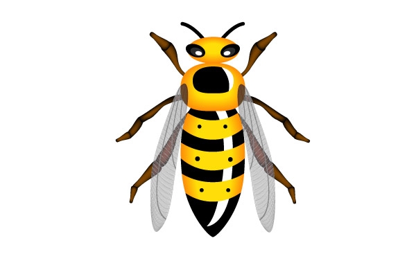 Hornet clipart free images 4