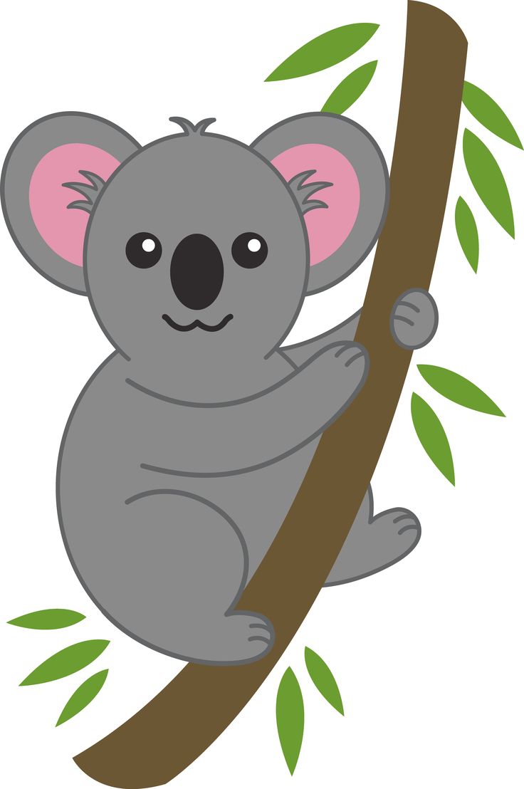 Koala clip art the cliparts
