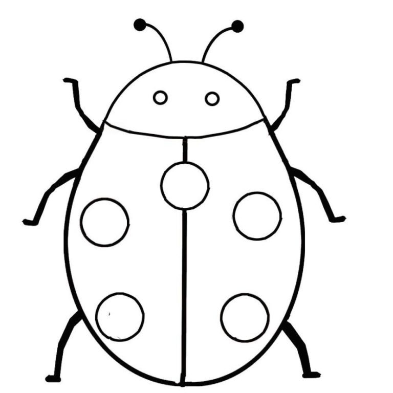 Ladybug outline 9 clip art 2 - WikiClipArt