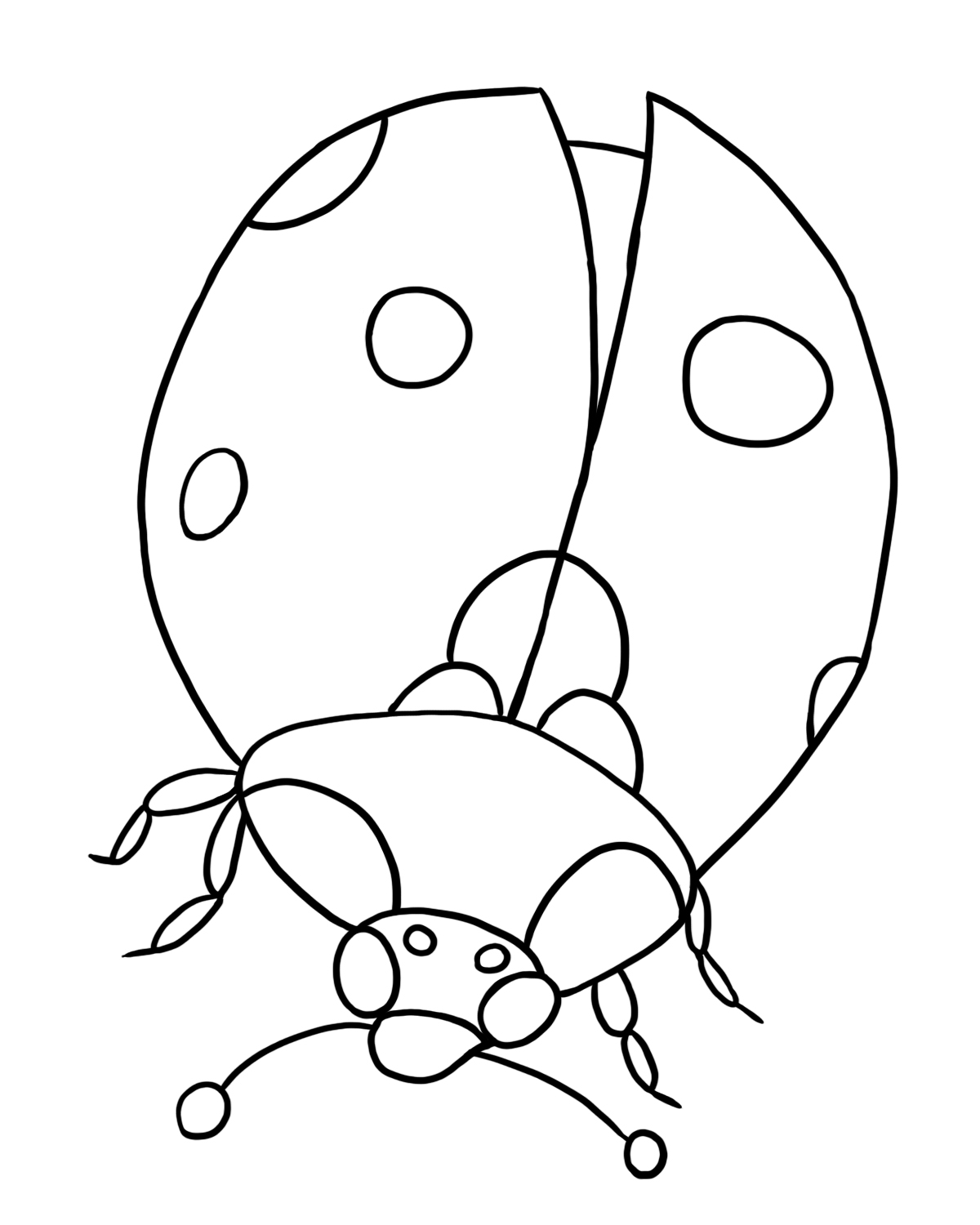 Ladybug outline clipart 15