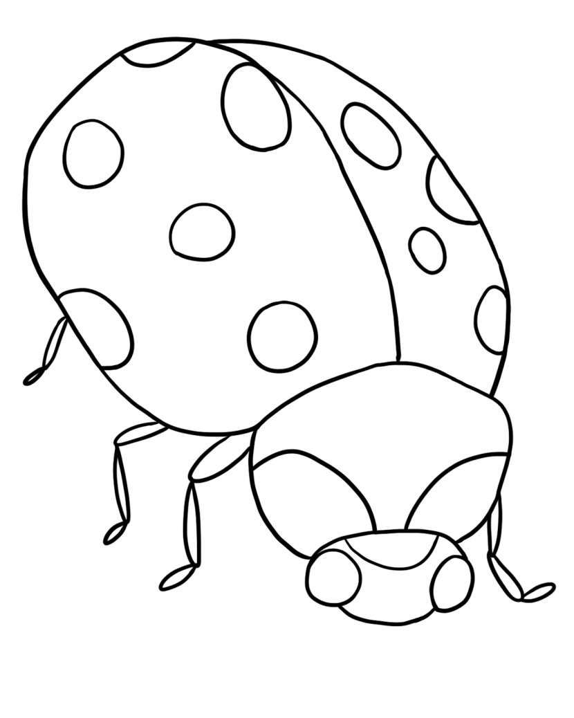 Ladybug outline clipart 16