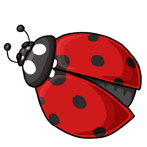 Ladybug outline clipart free images 4