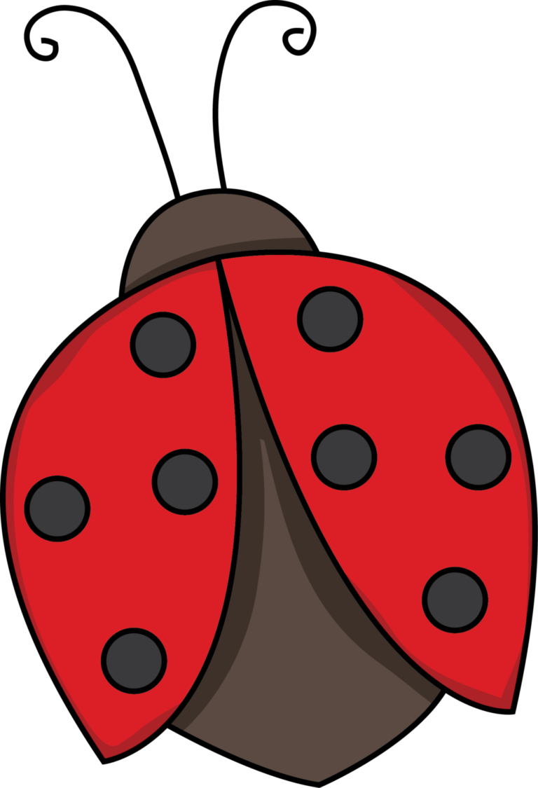 Ladybug outline related keywords clip art - WikiClipArt