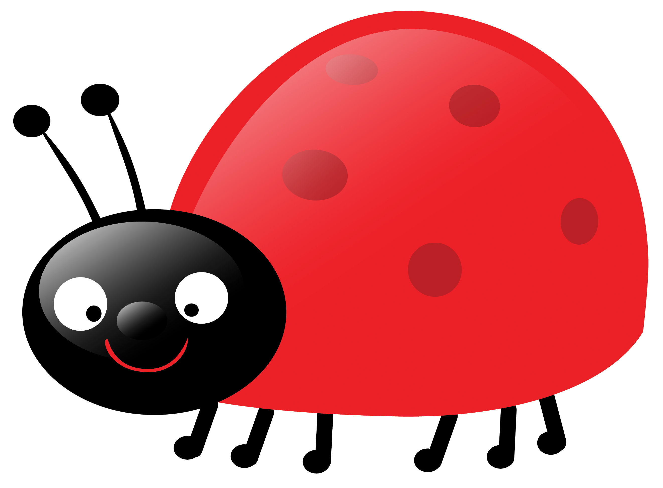Ladybug outline related keywords clipart 3