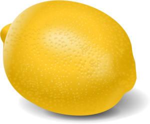 Lemon cider vector clip art