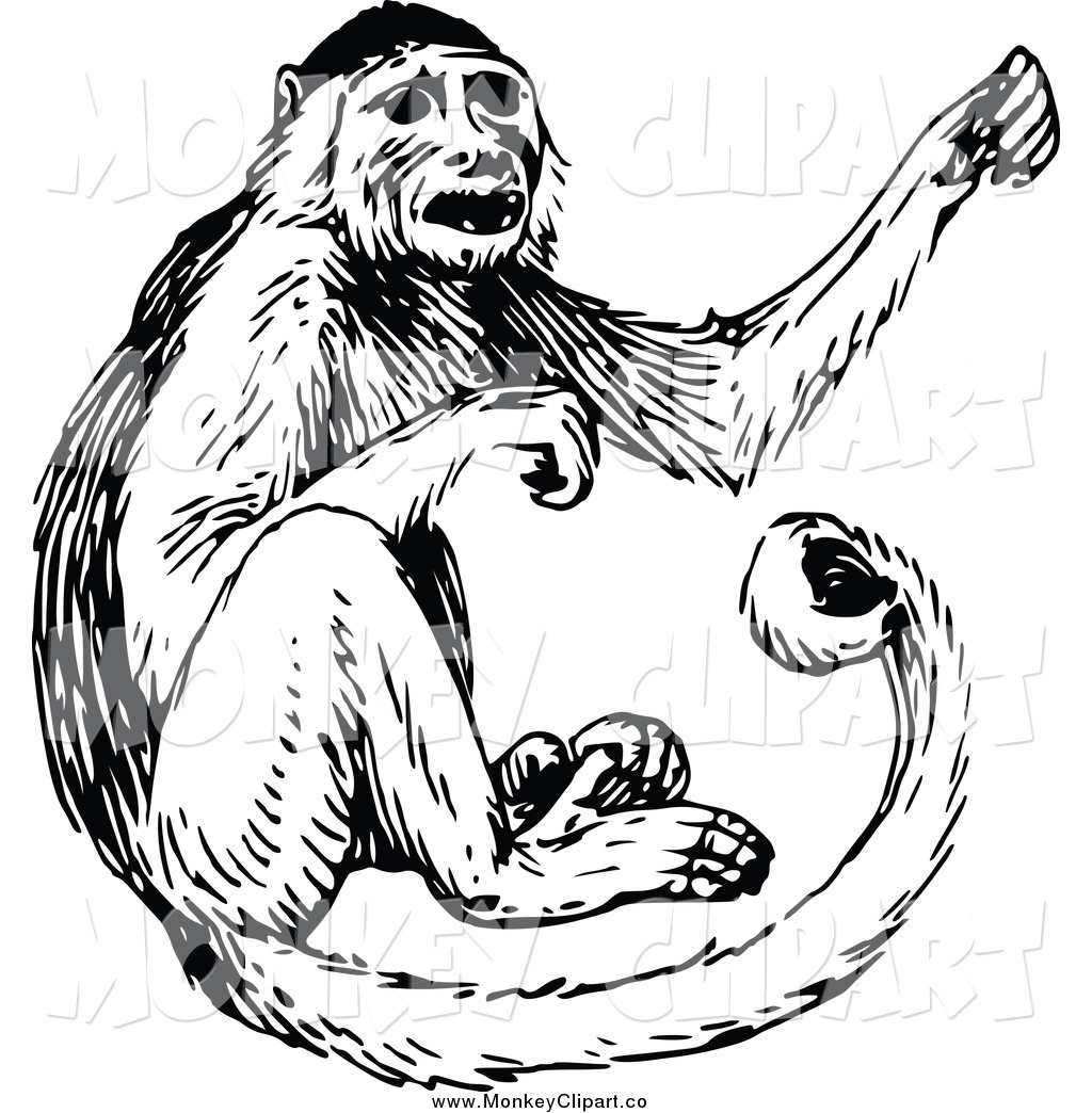 Monkey  black and white clip art of a black and white monkey by prawny vintage 4