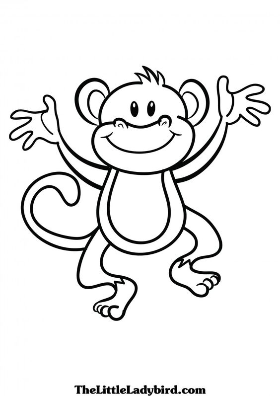 Monkey  black and white clipart images monkey and coloring pages on