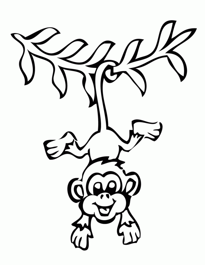 Monkey  black and white hanging monkey cartoon clip art