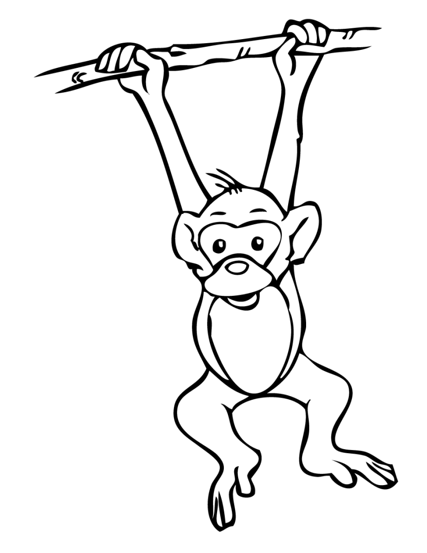 Monkey  black and white monkey outline clip art