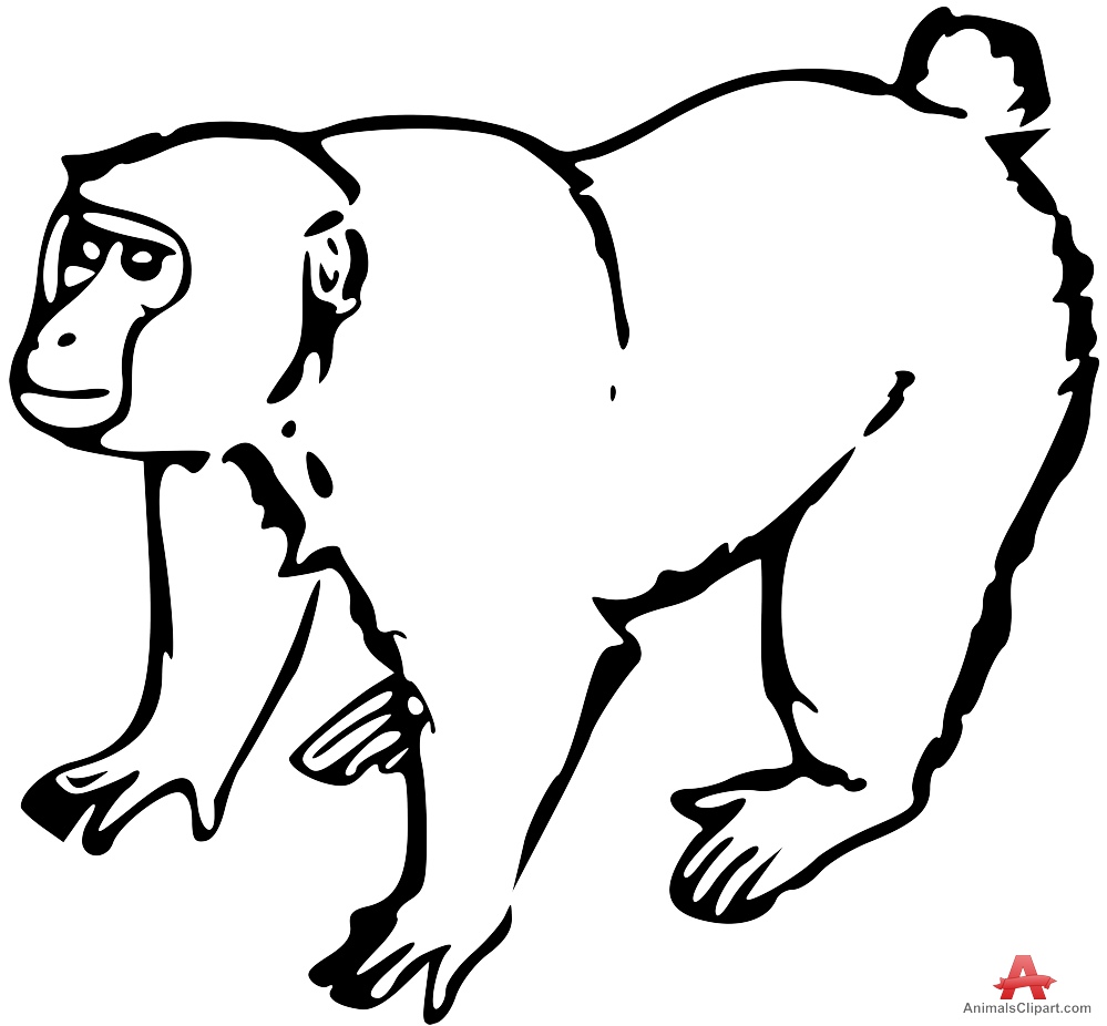 Monkey  black and white monkey outline clipart in black and white free design