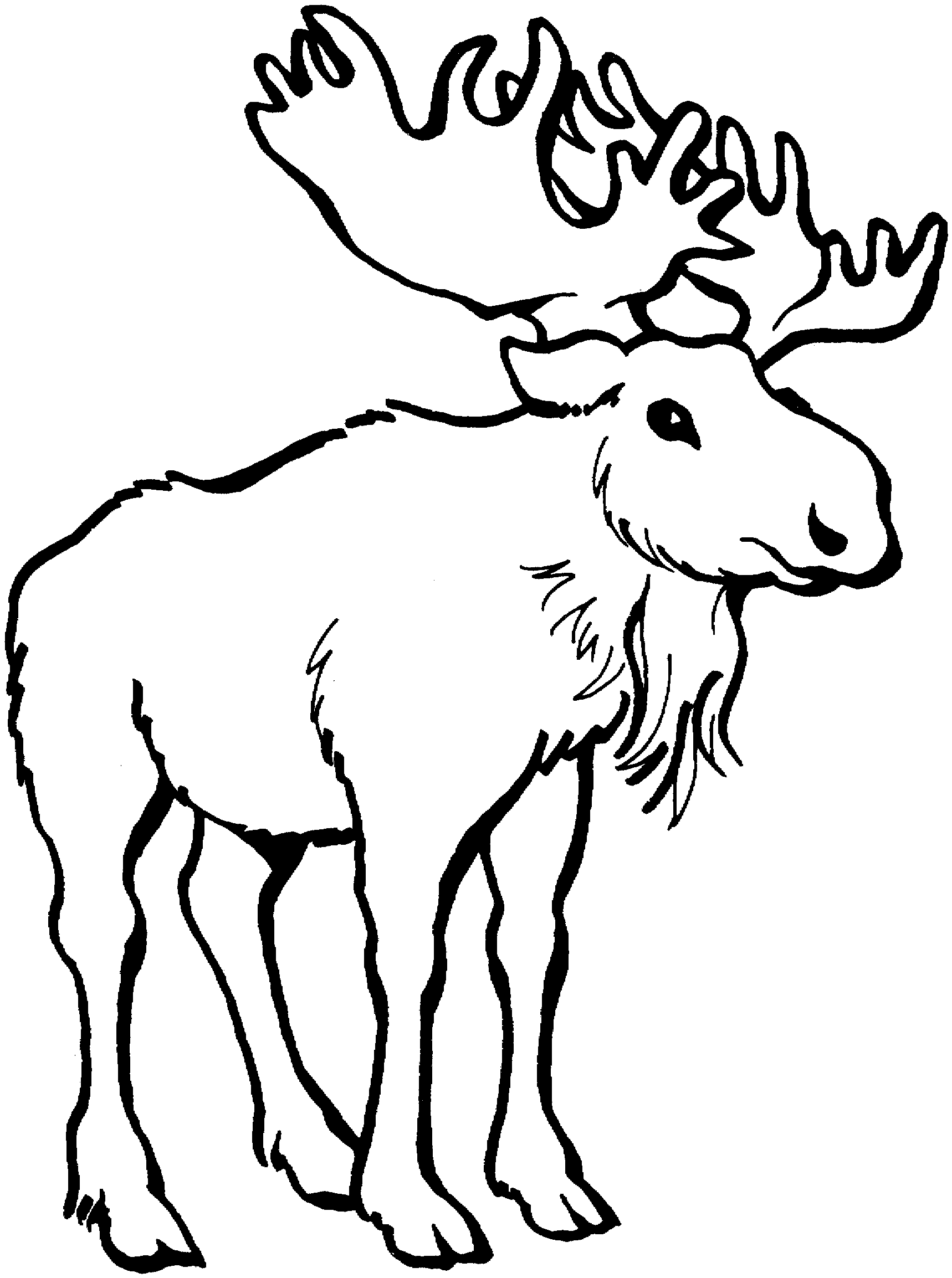 Moose clip art free wildlife clipart