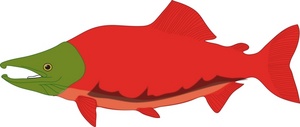 Native salmon clip art free vector in open office drawing svg