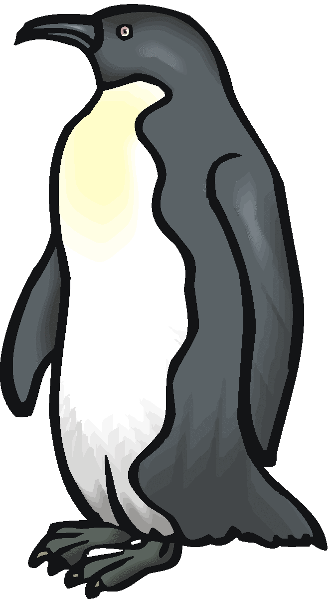 Penguin  black and white free penguin clipart