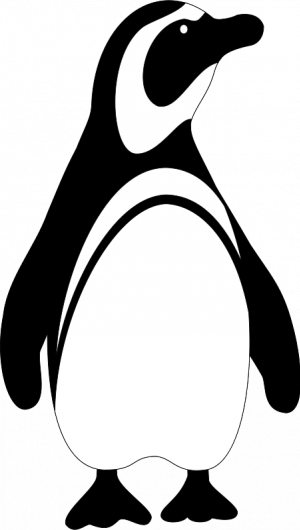 Penguin  black and white penguin black and white clipart